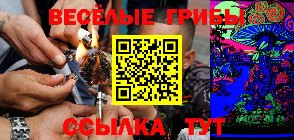 Псилоцибиновые грибы Magic Shrooms Нижний Новгород