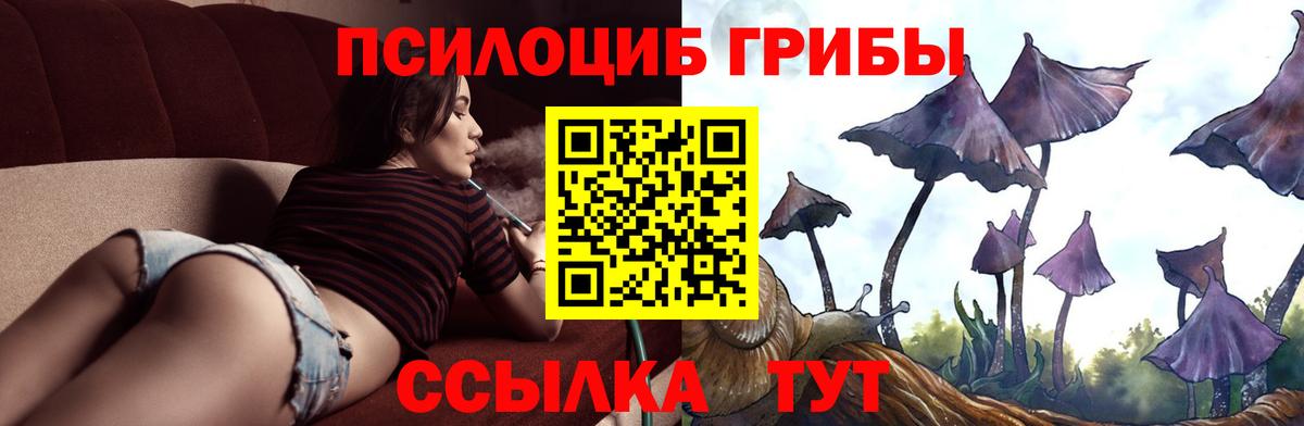 купить наркотик  Вход с VPN  Нижний Новгород  Псилоцибиновые грибы Magic Shrooms  Псилоцибиновые грибы ЛСД 